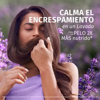 Champú Control Frizz Lavanda 350ml-227379 Champú Control Frizz Lavanda 350ml-227379 5